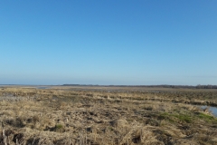 Marais de Siemianowka, frontière Biélorusse