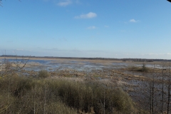 Marais de Siemianowka, frontière Biélorusse