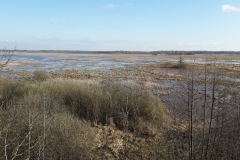 Marais de Siemianowka, frontière Biélorusse