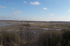 Marais de Siemianowka, frontière Biélorusse