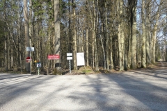 Route forestière Narewkowska