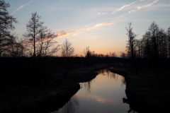 Bialowieza,  rivière Narewka