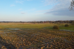 Goniadz, Parc Biebrzanski, Marais de la Biebrza