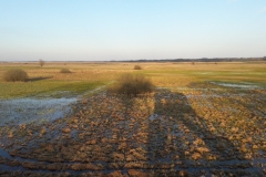 Goniadz, Parc Biebrzanski, Marais de la Biebrza