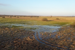 Goniadz, Parc Biebrzanski, Marais de la Biebrza