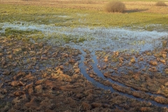 Goniadz, Parc Biebrzanski, Marais de la Biebrza