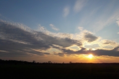 Goniadz, Parc Biebrzanski, Marais de la Biebrza, coucher de soleil