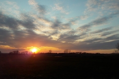 Goniadz, Parc Biebrzanski, Marais de la Biebrza, coucher de soleil