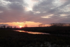 Goniadz, Parc Biebrzanski, Marais de la Biebrza, coucher de soleil