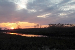 Goniadz, Parc Biebrzanski, Marais de la Biebrza, coucher de soleil